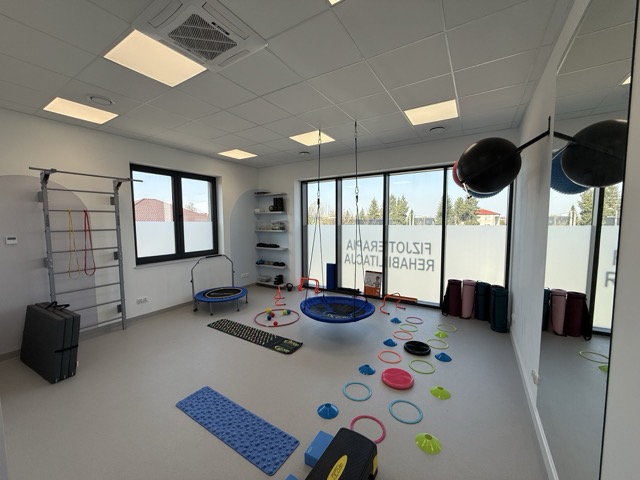Sala fizjoterapii z huśtawką, drabinką i sprzętem rehabilitacyjnym